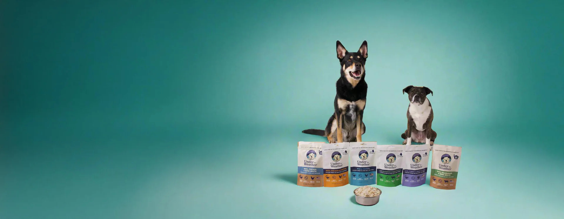 Vet-Formulated Wellness for Every Pet