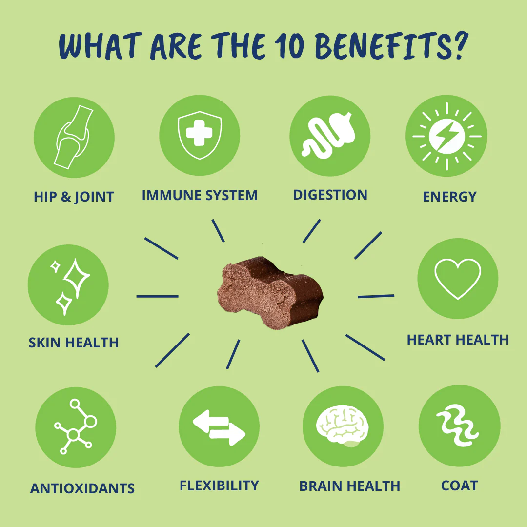 10-in-1 Multivitamin Chews for Dogs - Image 3