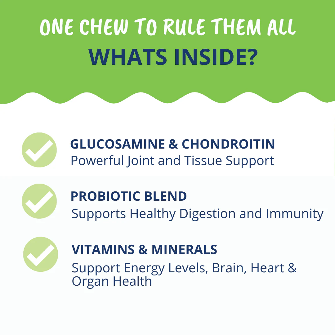10-in-1 Multivitamin Chews for Dogs - Image 4