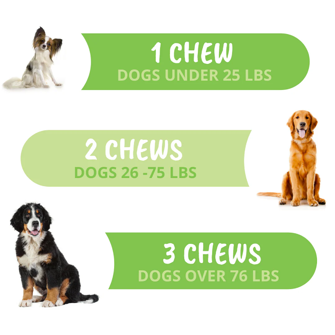 10-in-1 Multivitamin Chews for Dogs - Image 5