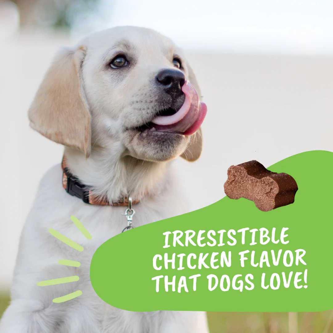 10-in-1 Multivitamin Chews for Dogs - Image 6