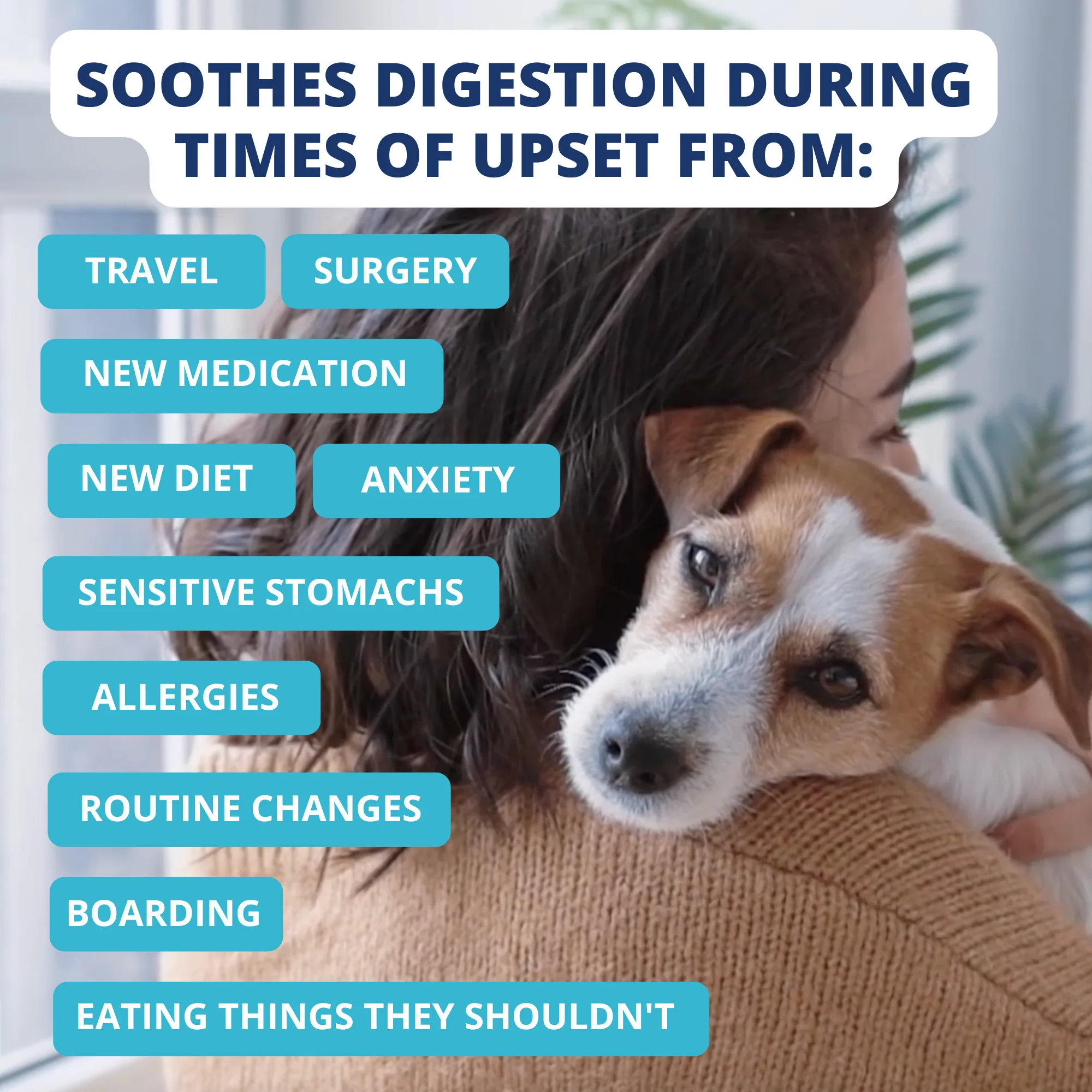 6 Flavor Bland Diet Pack - Image 5