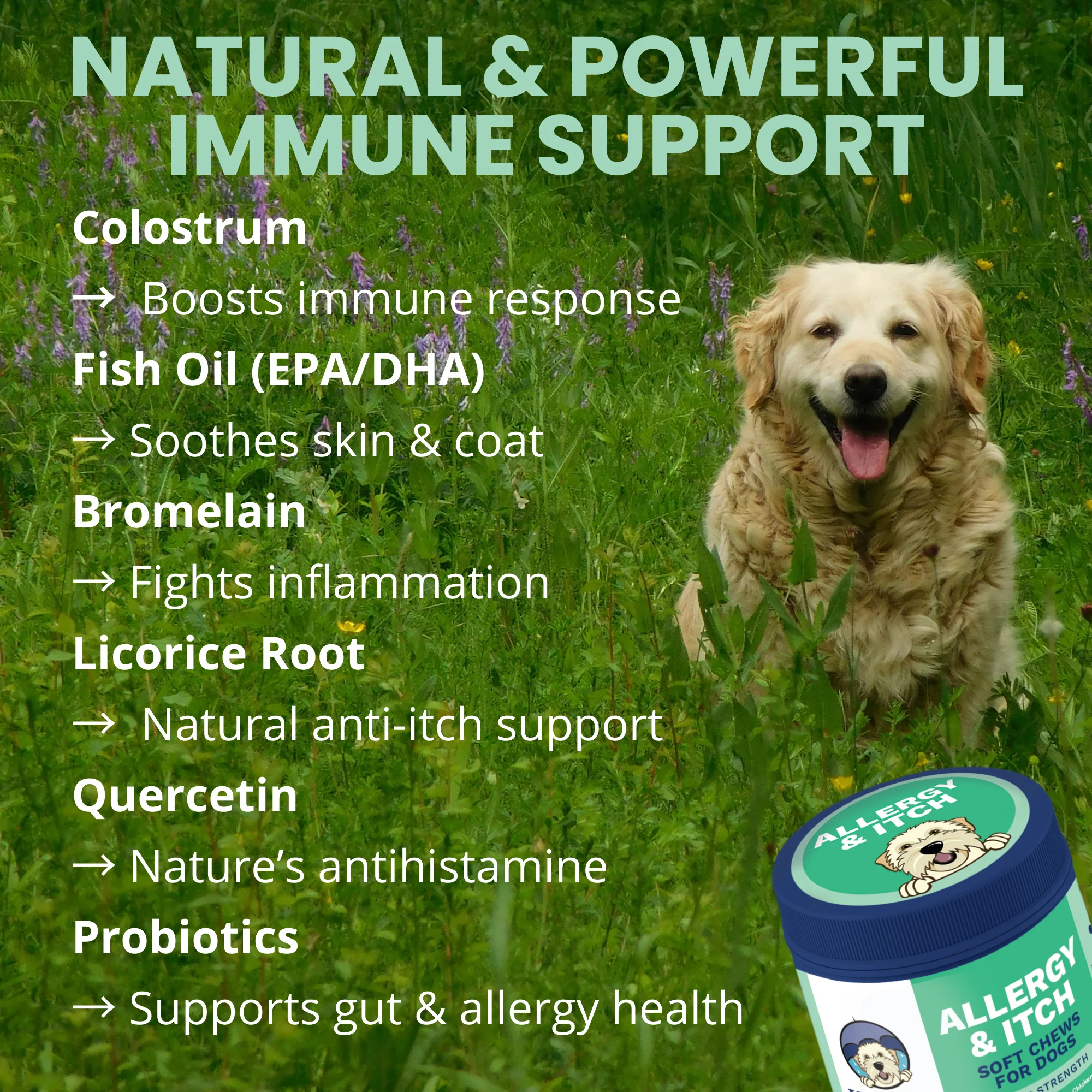 Allergy and Itch Immune Support Chews for Dogs - Image 4
