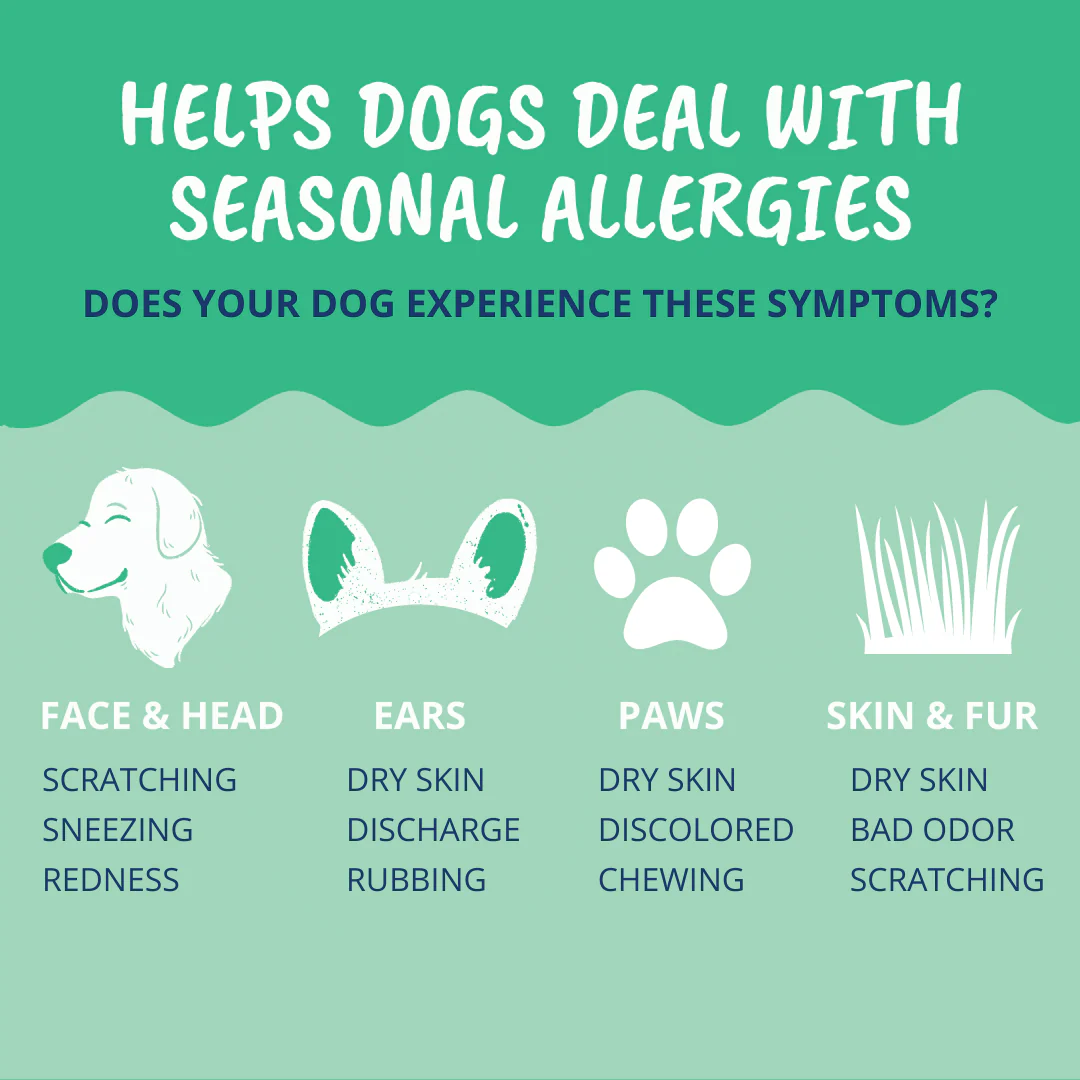Allergy and Itch Chews for Dogs - Image 3