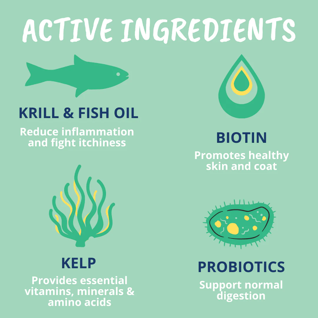 Allergy and Itch Chews for Dogs - Image 4