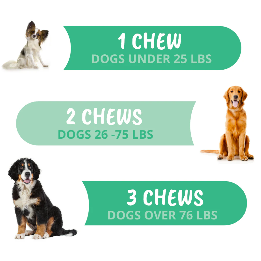 Allergy and Itch Chews for Dogs - Image 5