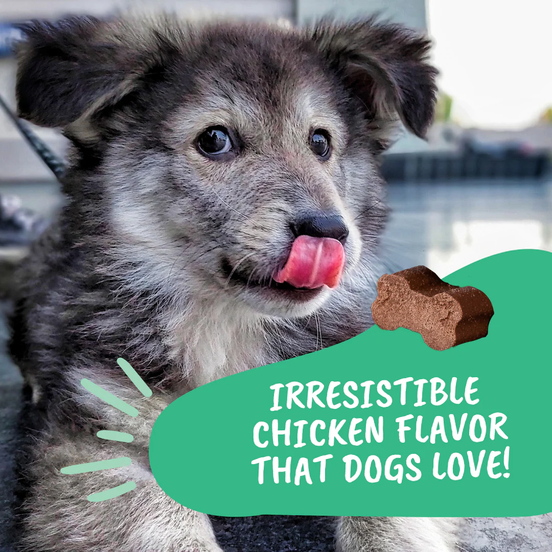 Allergy and Itch Chews for Dogs - Image 6