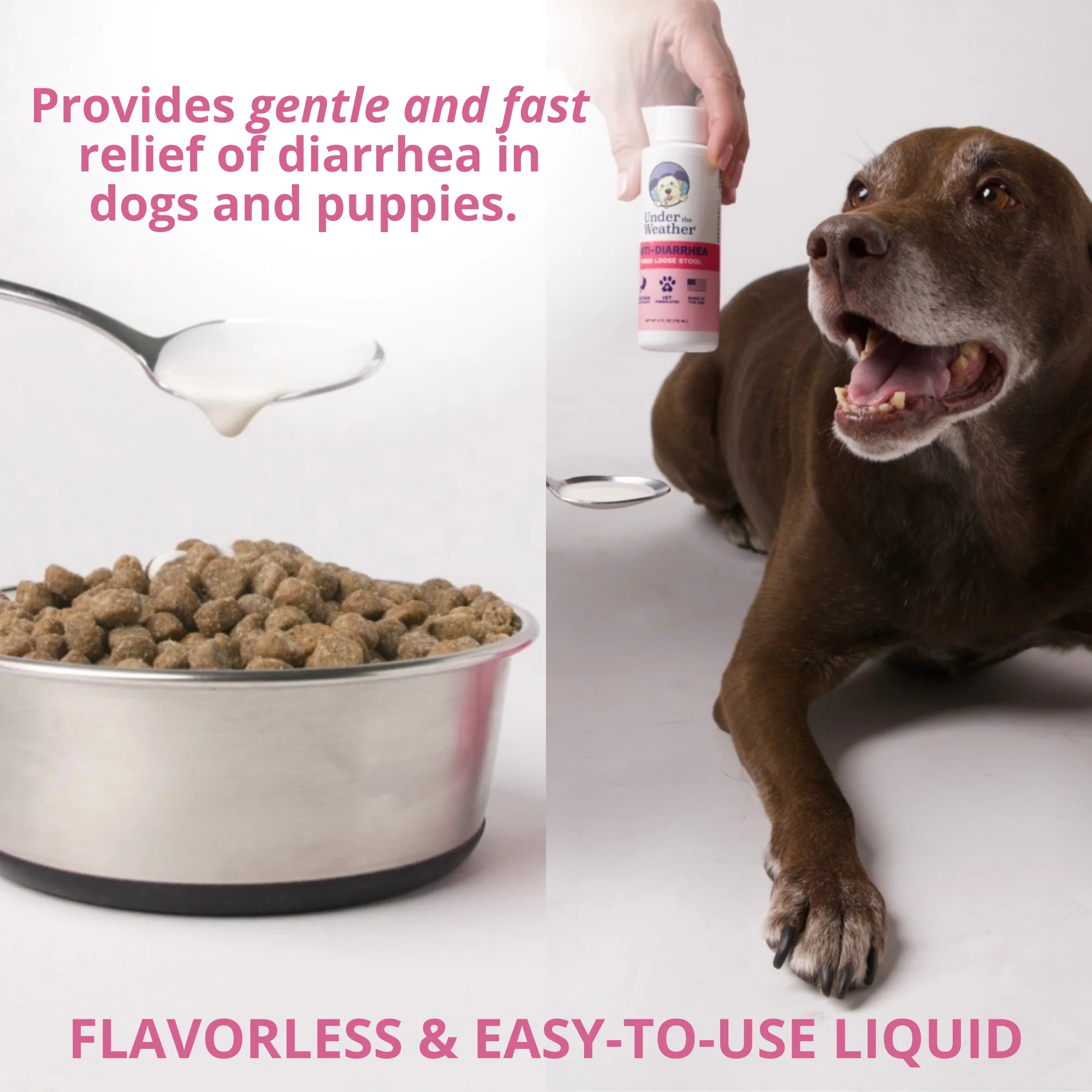 Anti-Diarrhea Liquid For Dogs - Image 3