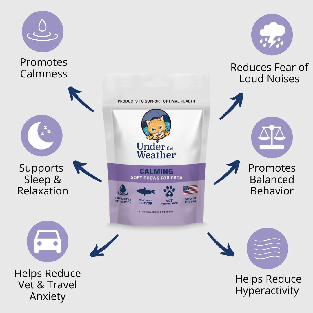 Calming Soft Chews For Cats - 6 Pack - Image 3