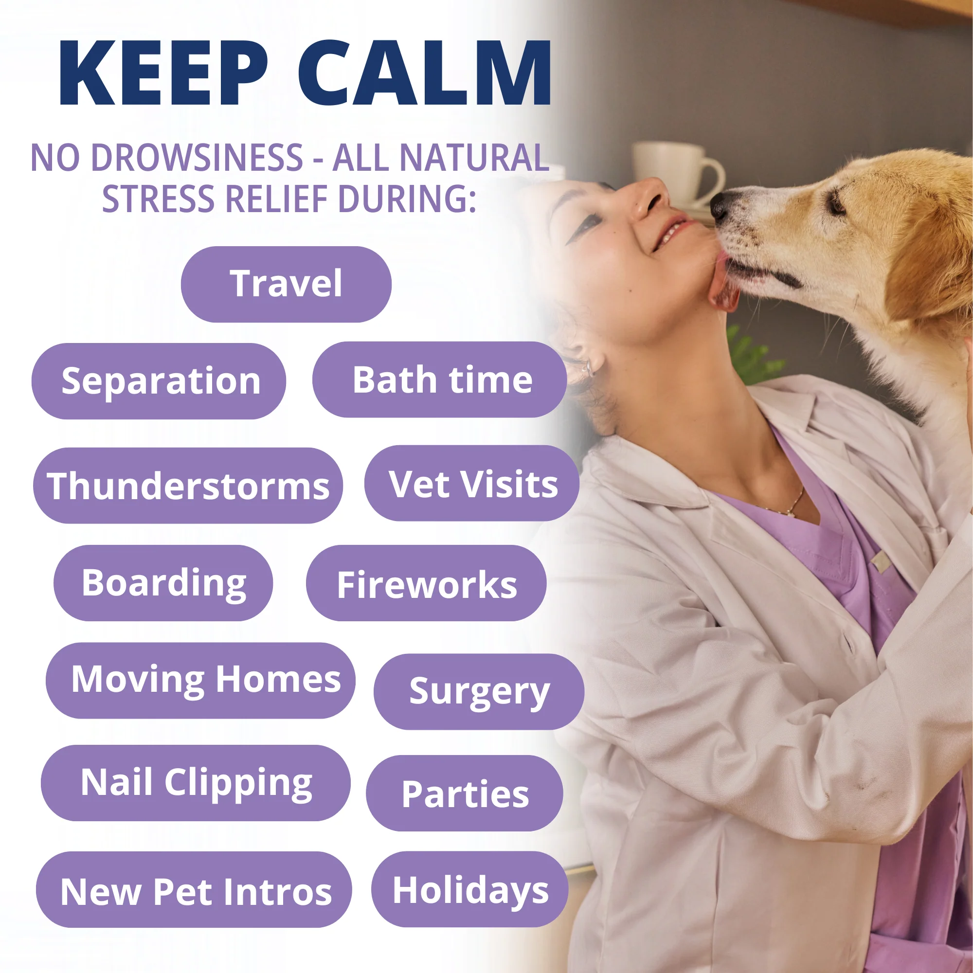 Calming Chews for Dogs - Image 3