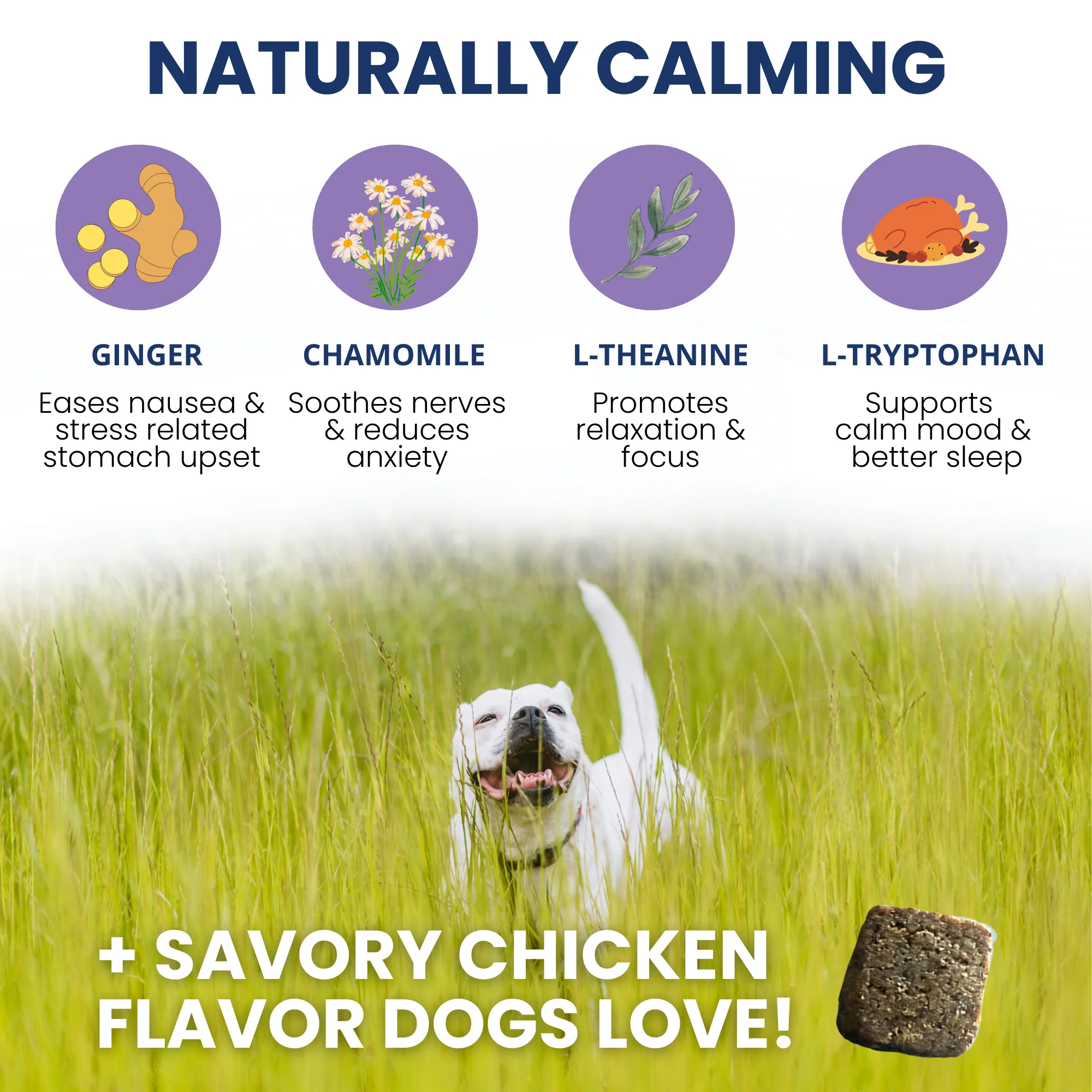 Calming Chews for Dogs - Image 4