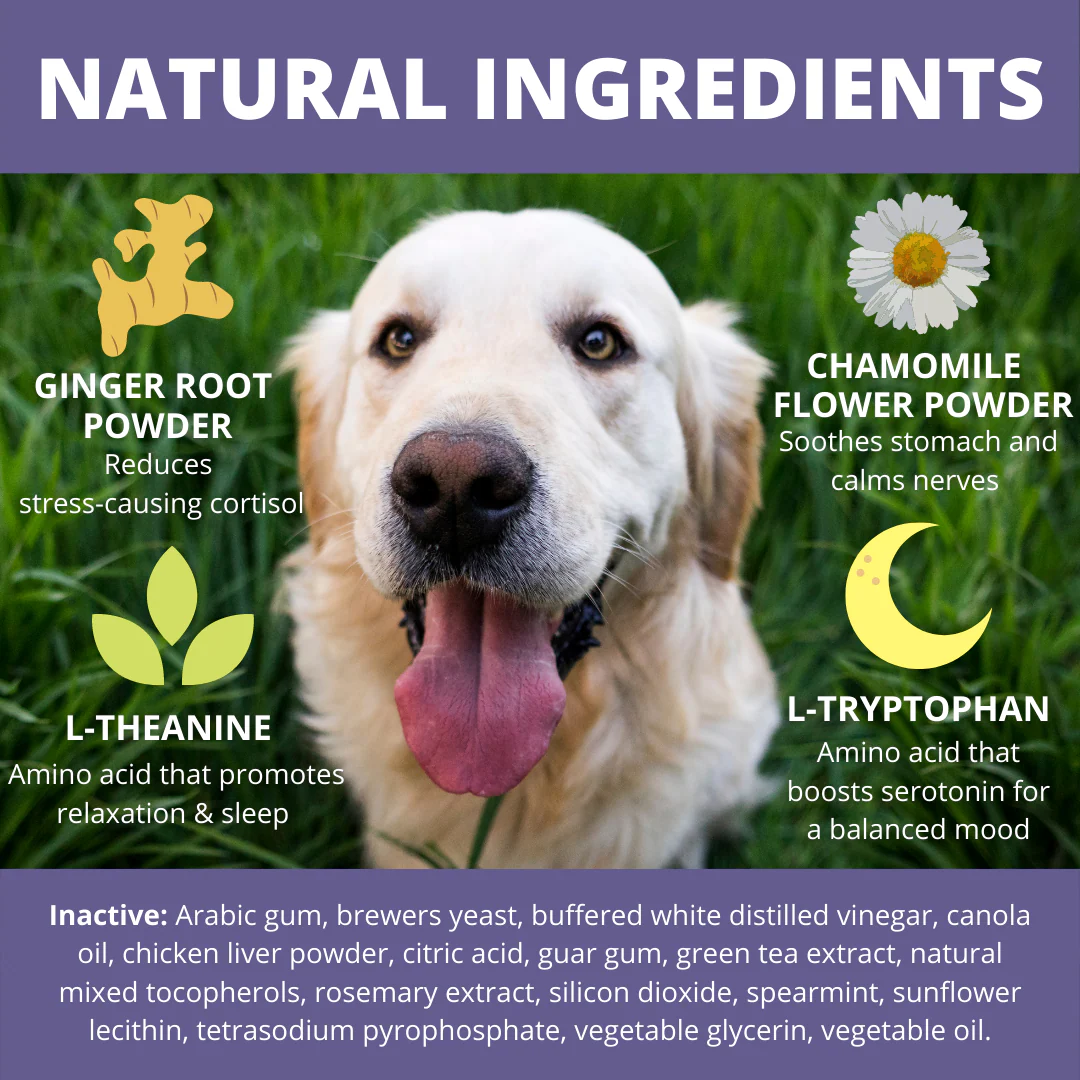 Calming Soft Chews For Dogs - Image 4