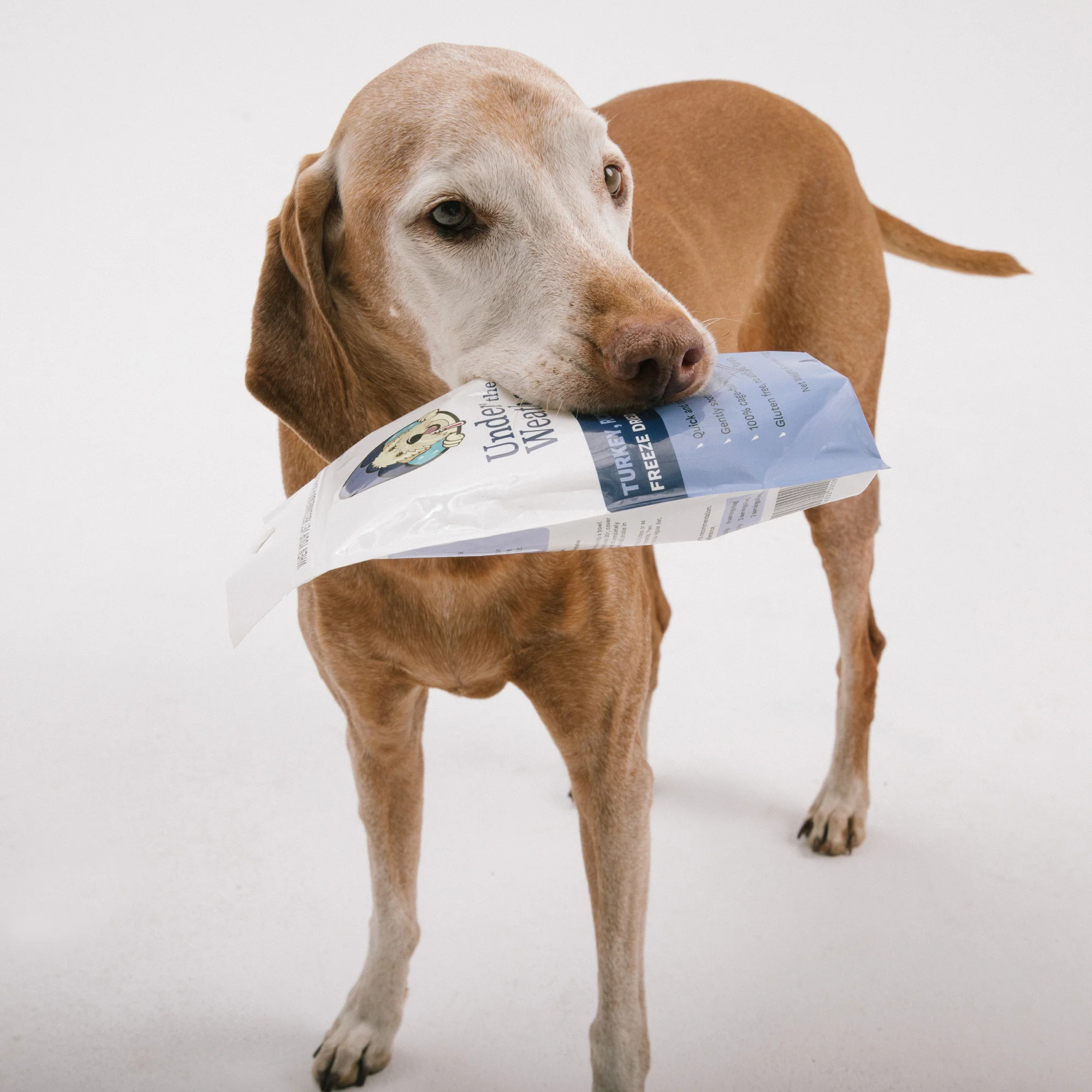 Turkey, Rice, & Sweet Potato Bland Diet For Dogs - 6 pack - Image 9