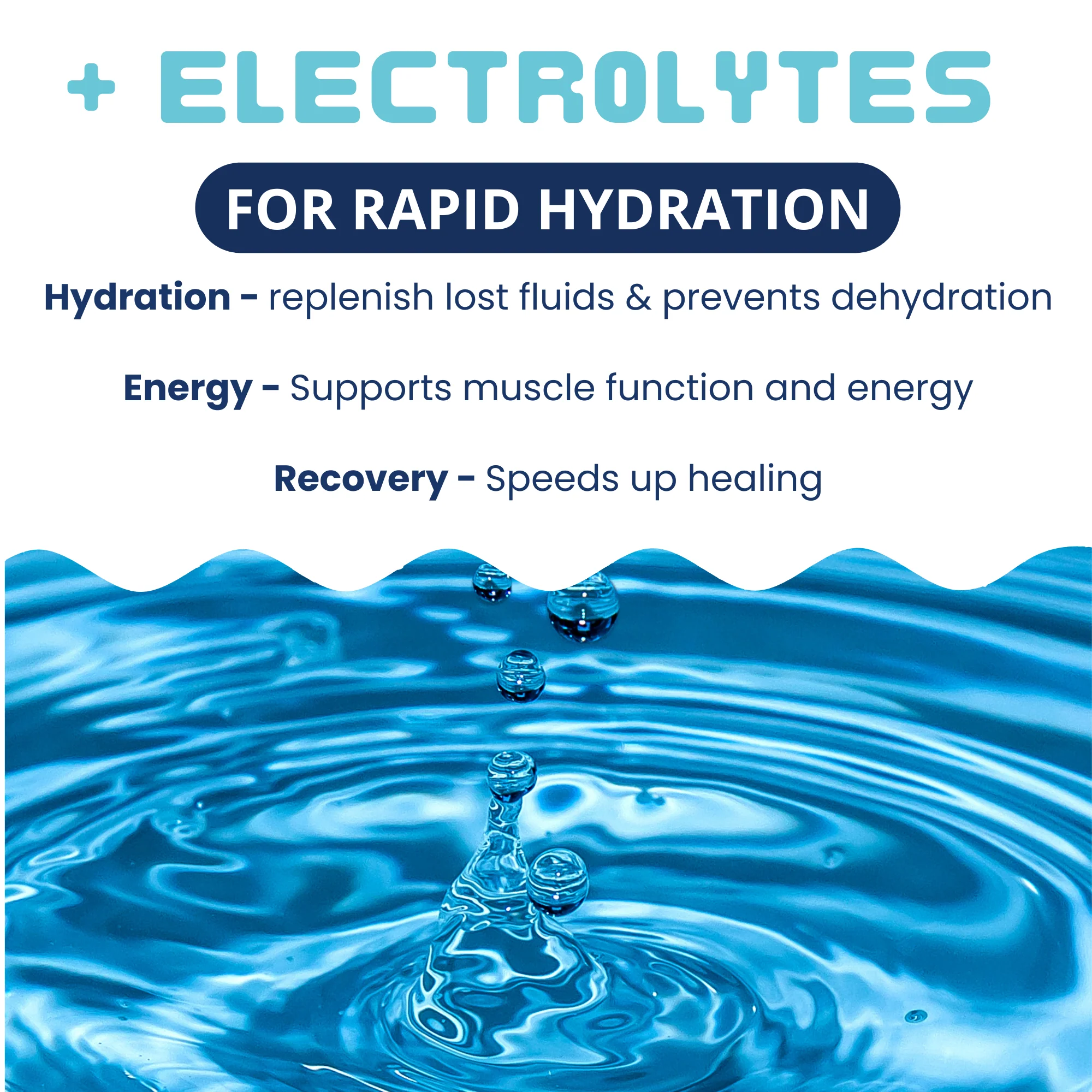 Chicken & Rice Bland Diet For Dogs - Image 6