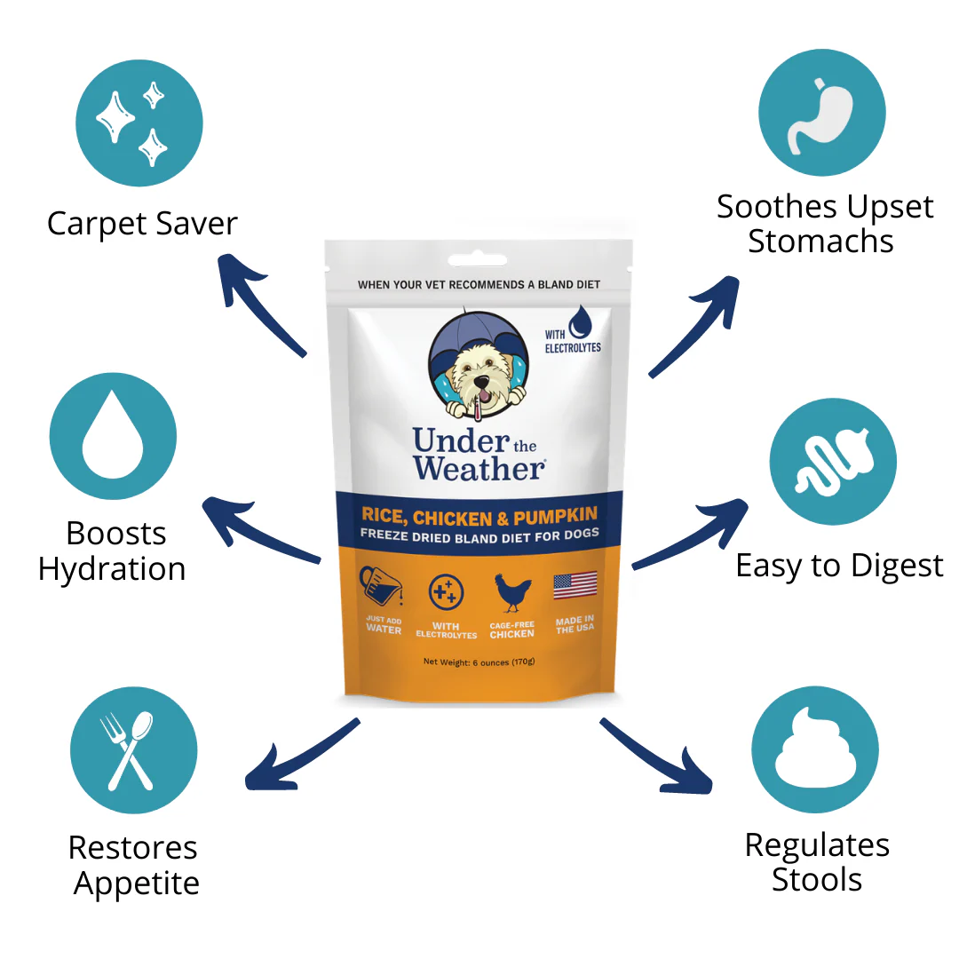 Pumpkin Patch Pack - Bland Diet For Dogs - Image 3