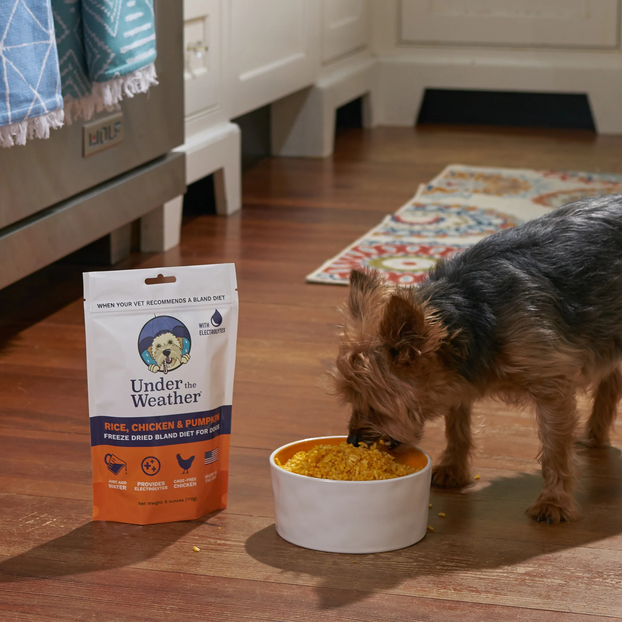Pumpkin Patch Pack - Bland Diet For Dogs - Image 8