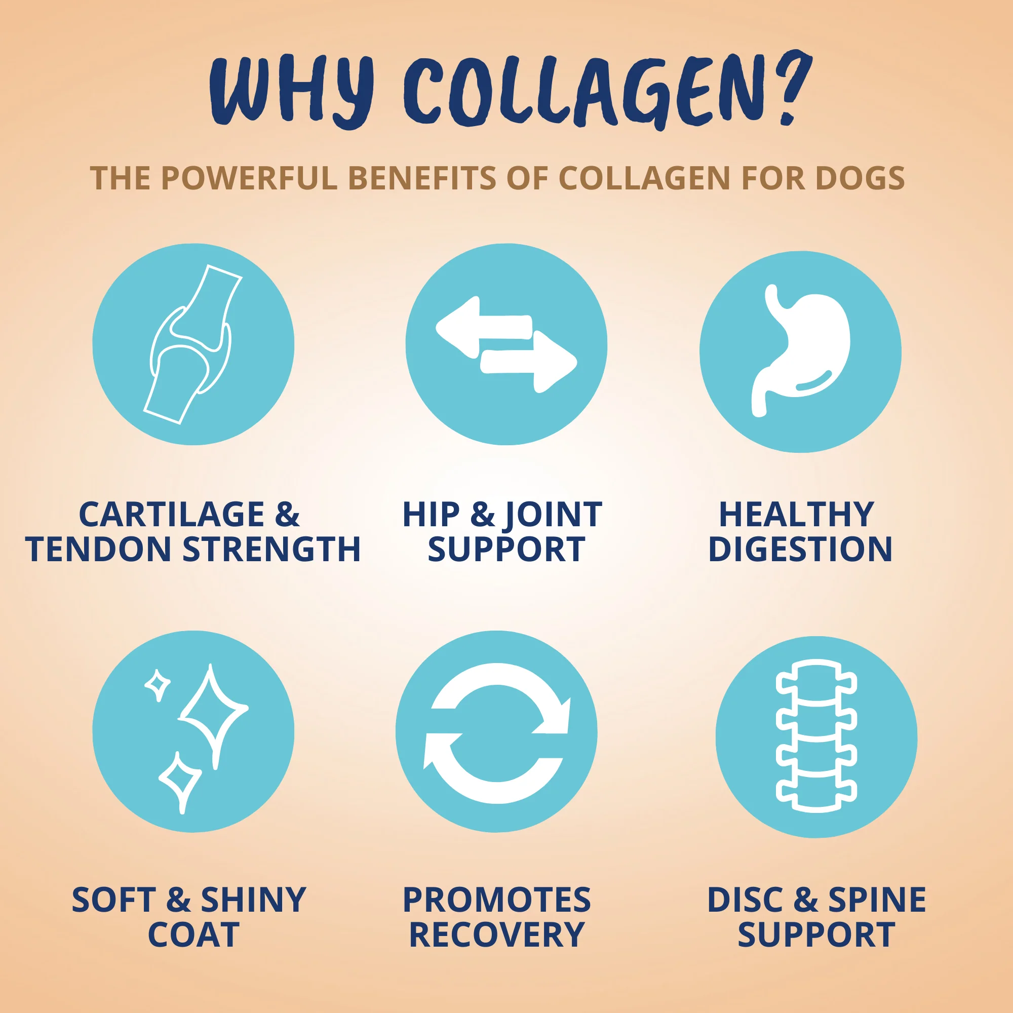 Collagen Chews for Dogs - Image 4