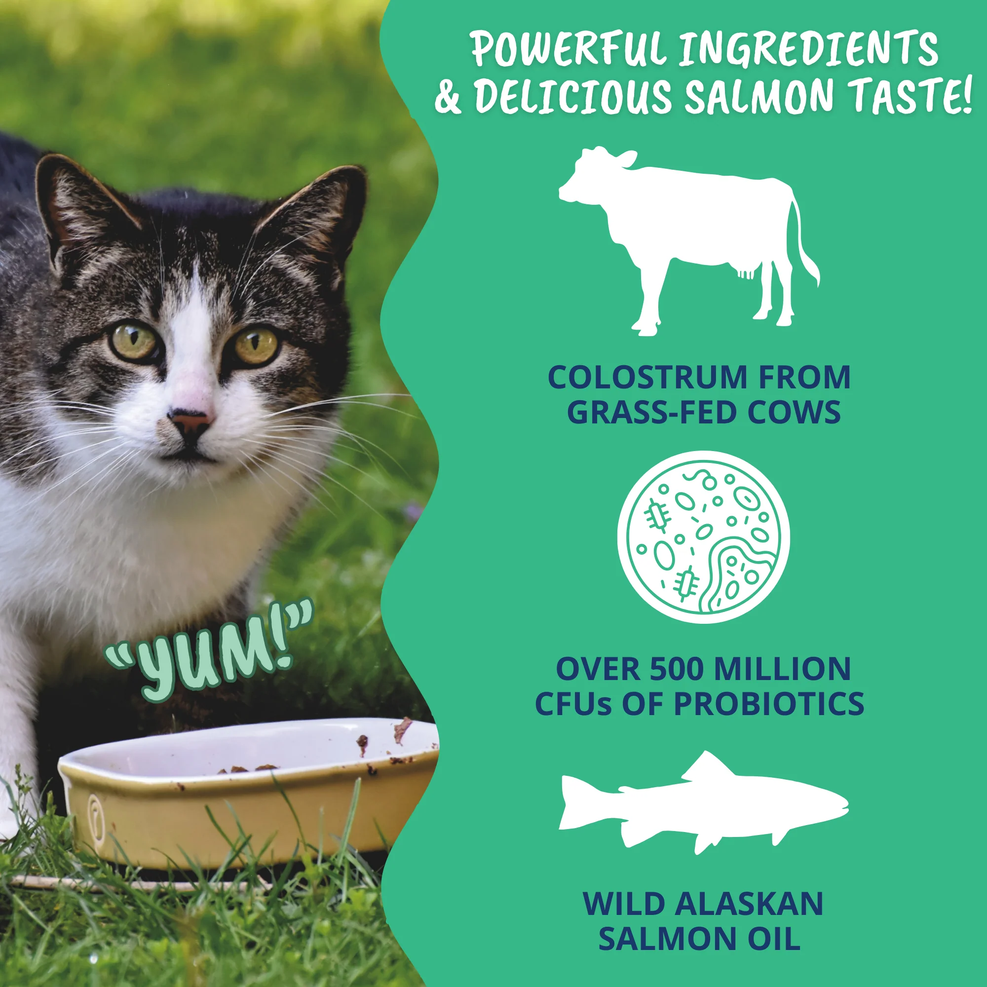 3-in-1 Vital Colostrum Gel for Cats - Image 3