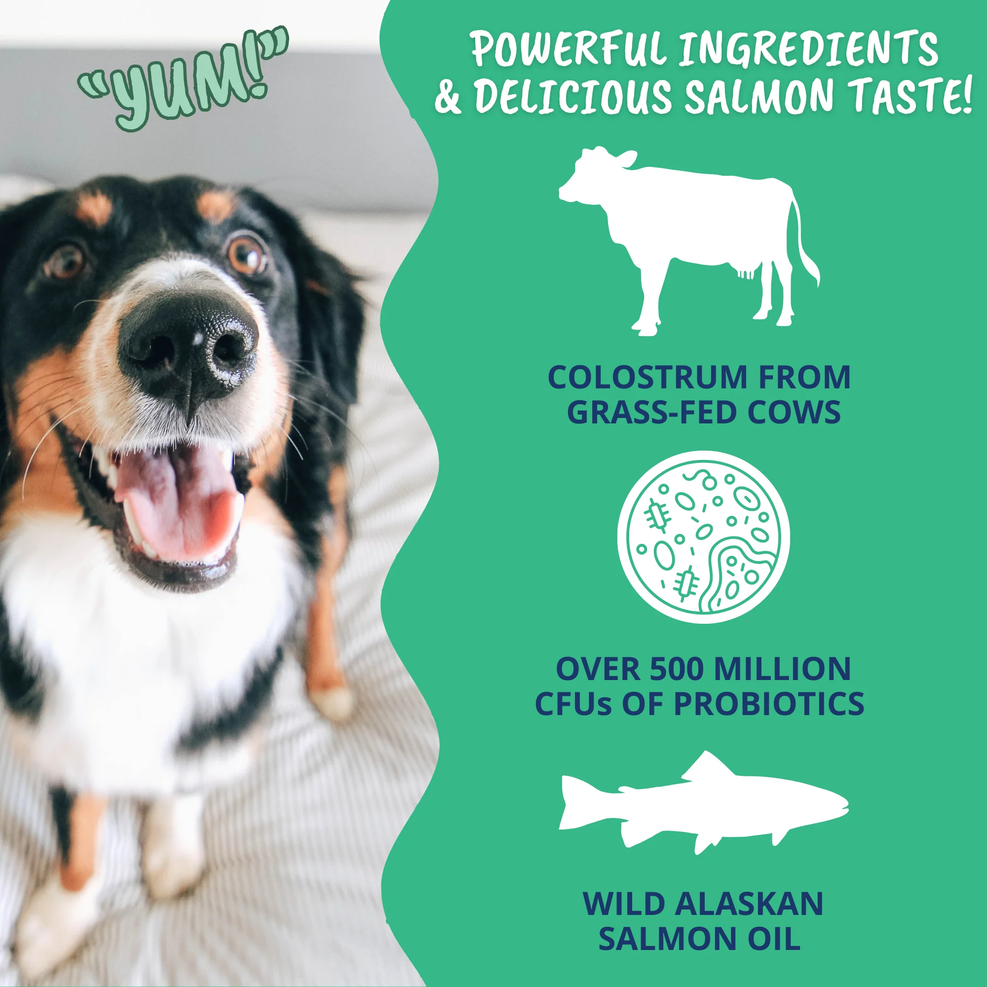 3-in-1 Vital Colostrum Gel for Dogs - Image 3