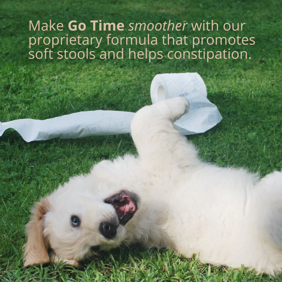 Go Time Laxative Chews For Dogs - Image 4