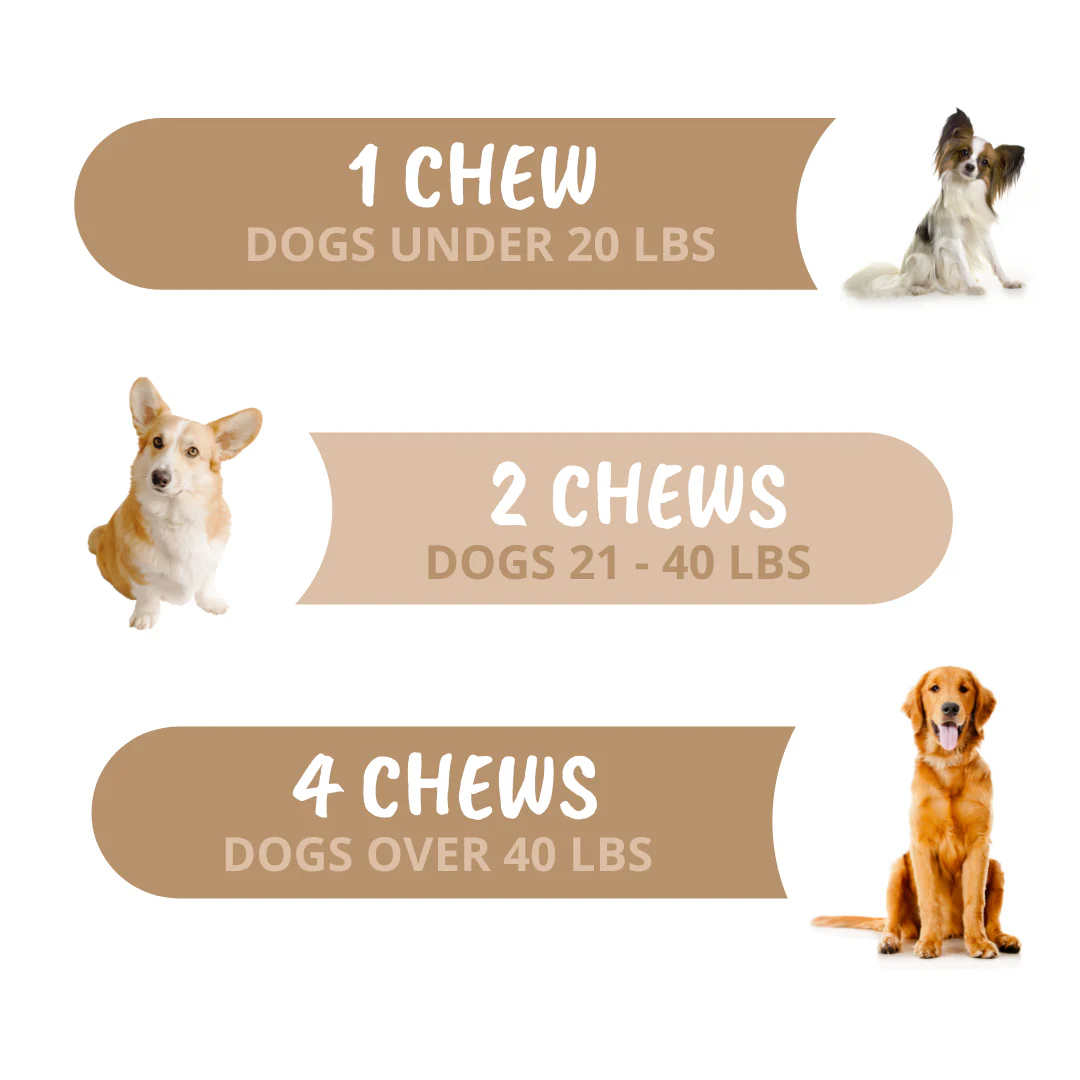 Go Time Laxative Chews For Dogs - Image 6