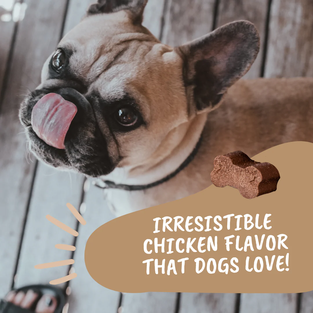 Go Time Laxative Chews For Dogs - Image 7