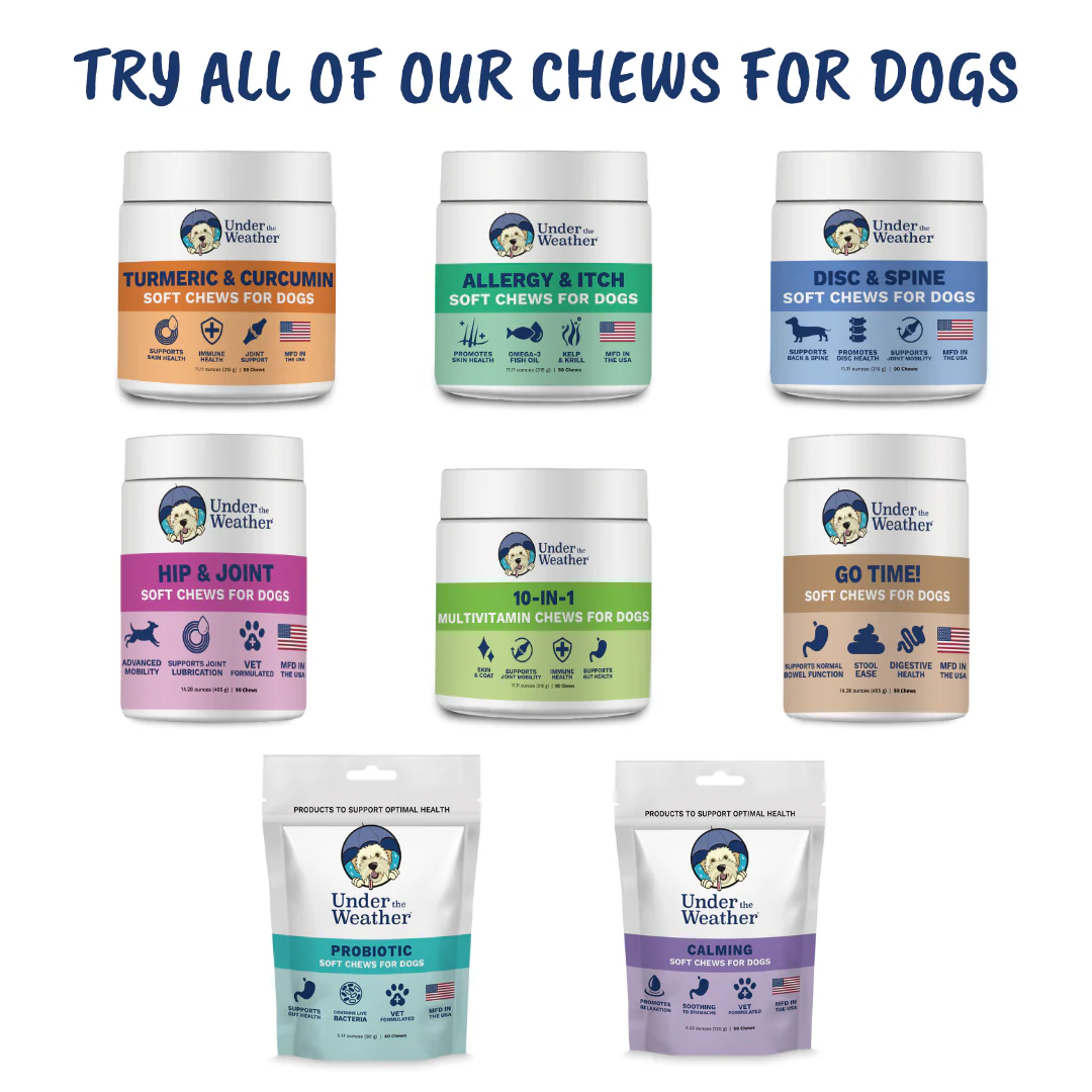 Go Time Laxative Chews For Dogs - Image 8