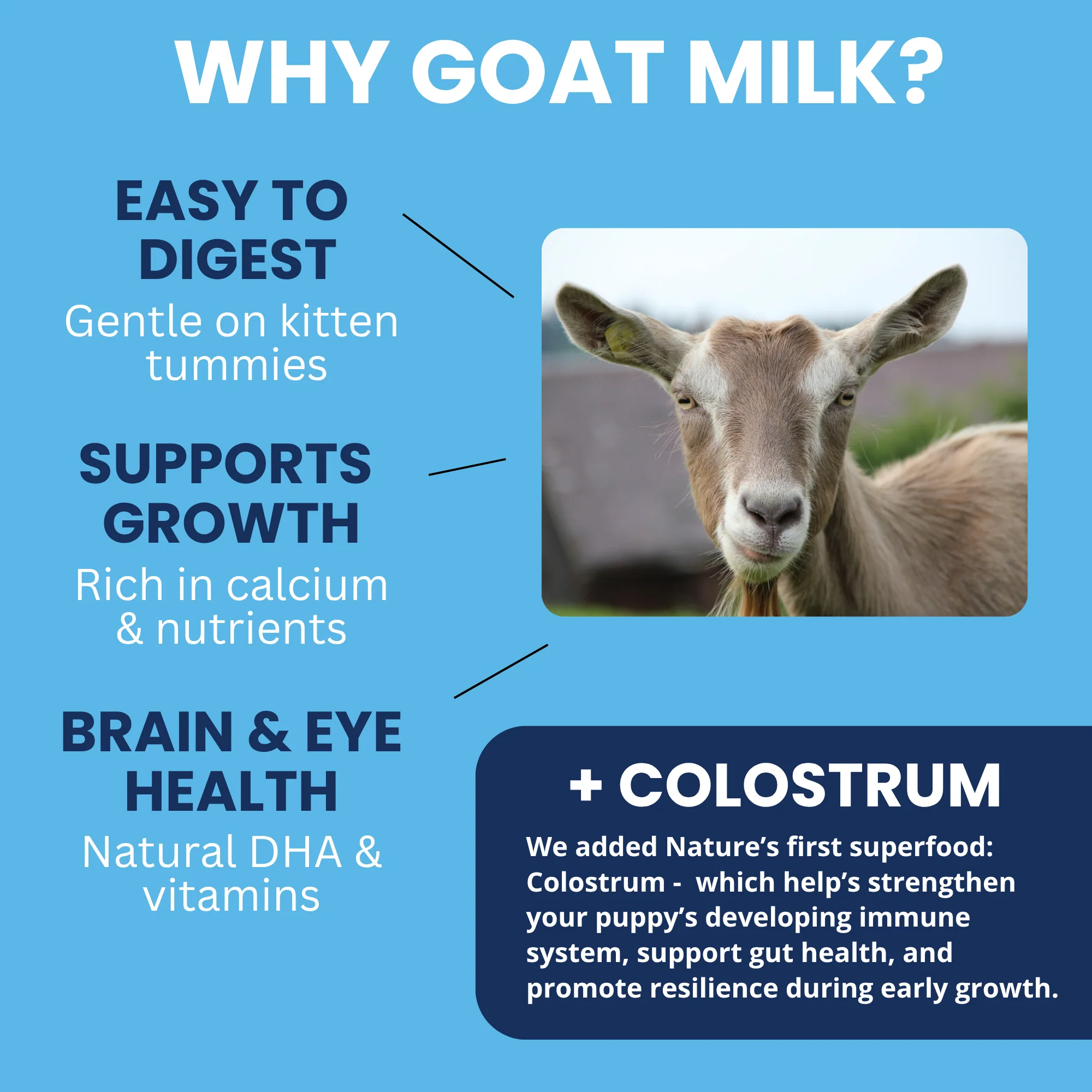 Goat Milk - Milk Replacer for Cats and Kittens + Colostrum - Image 3