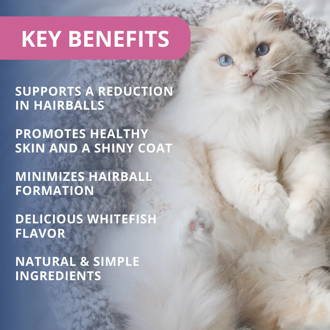 Hairball Support Soft Chews For Cats - 6 pack - Image 3