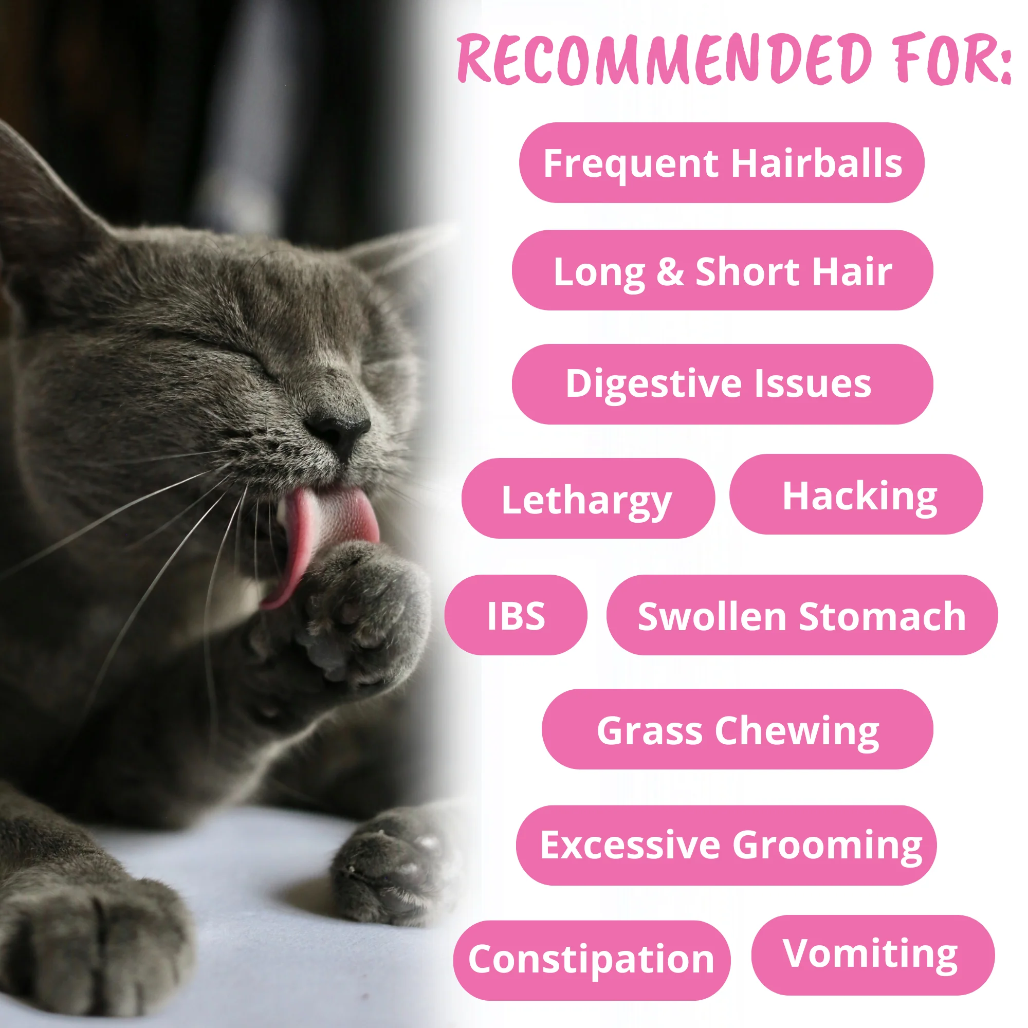 Hairball Support Soft Chews for Cats - Image 4