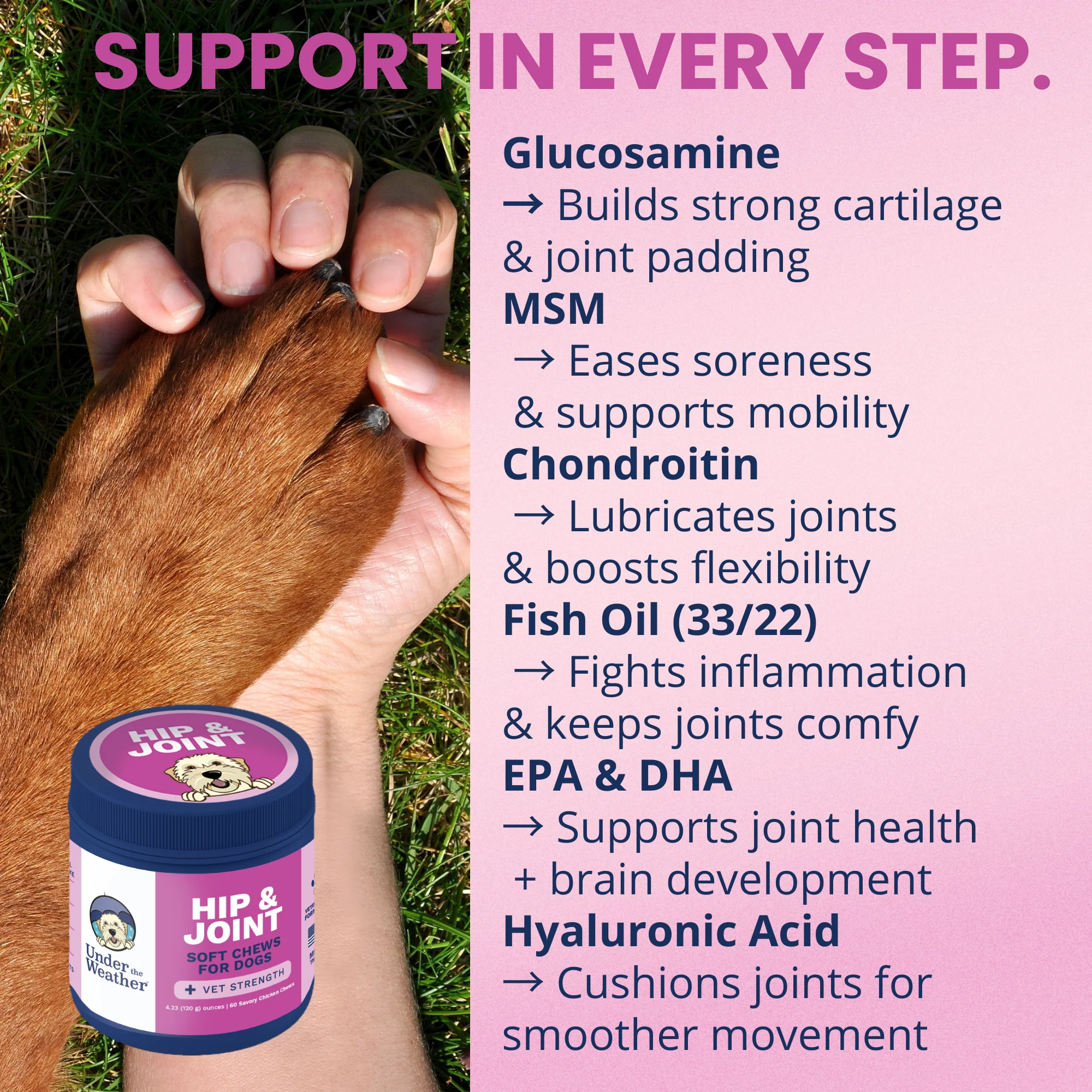 Hip and Joint Mobility Support Chews for Dogs - Image 5