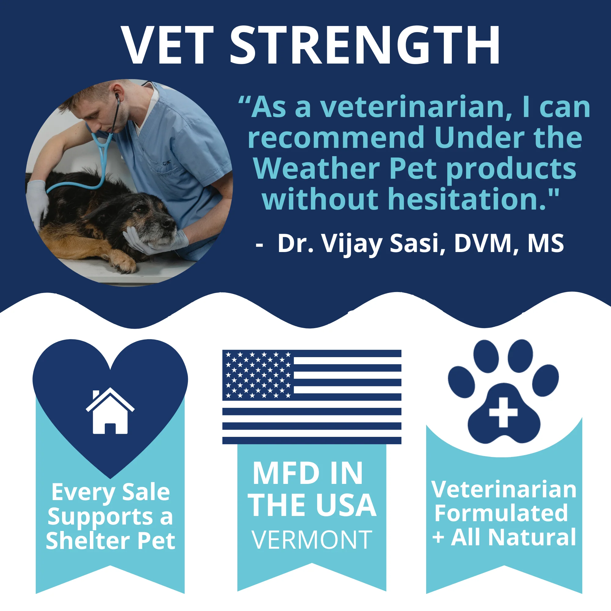 Hip and Joint Mobility Support Chews for Dogs - Image 7