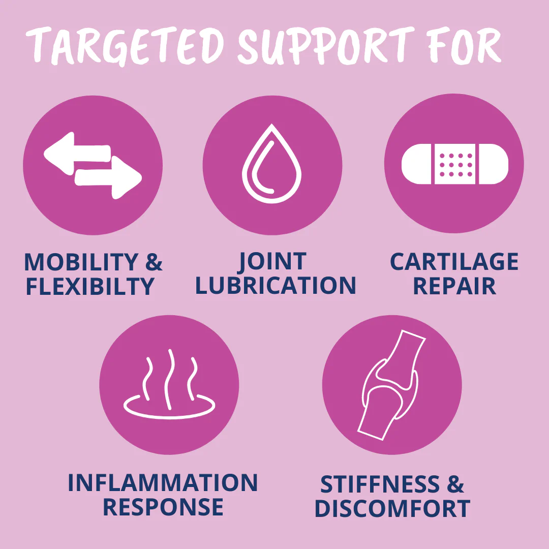 Hip & Joint Chews for Dogs - Image 3