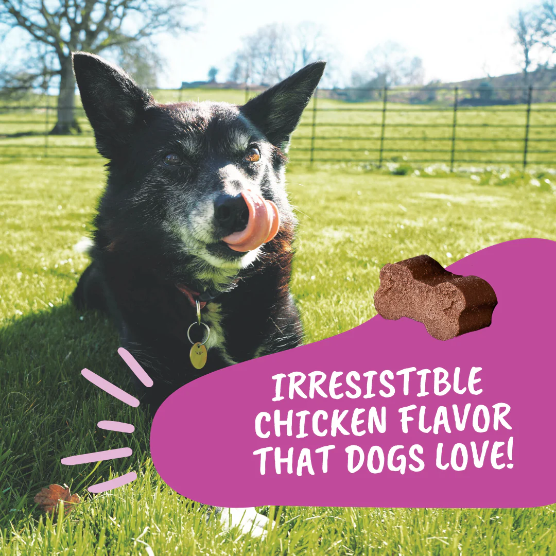 Hip & Joint Chews for Dogs - Image 7