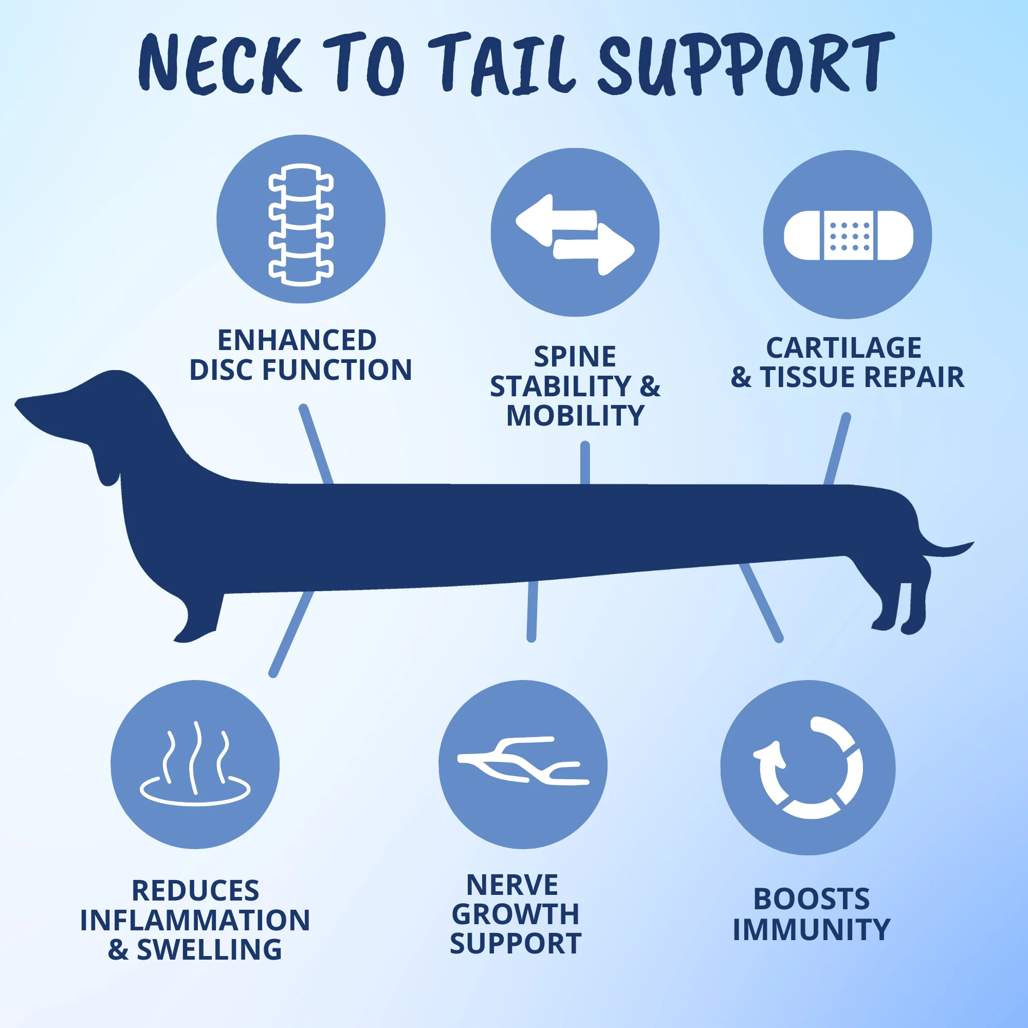 Disc and Spine Chews For Dogs - Image 3