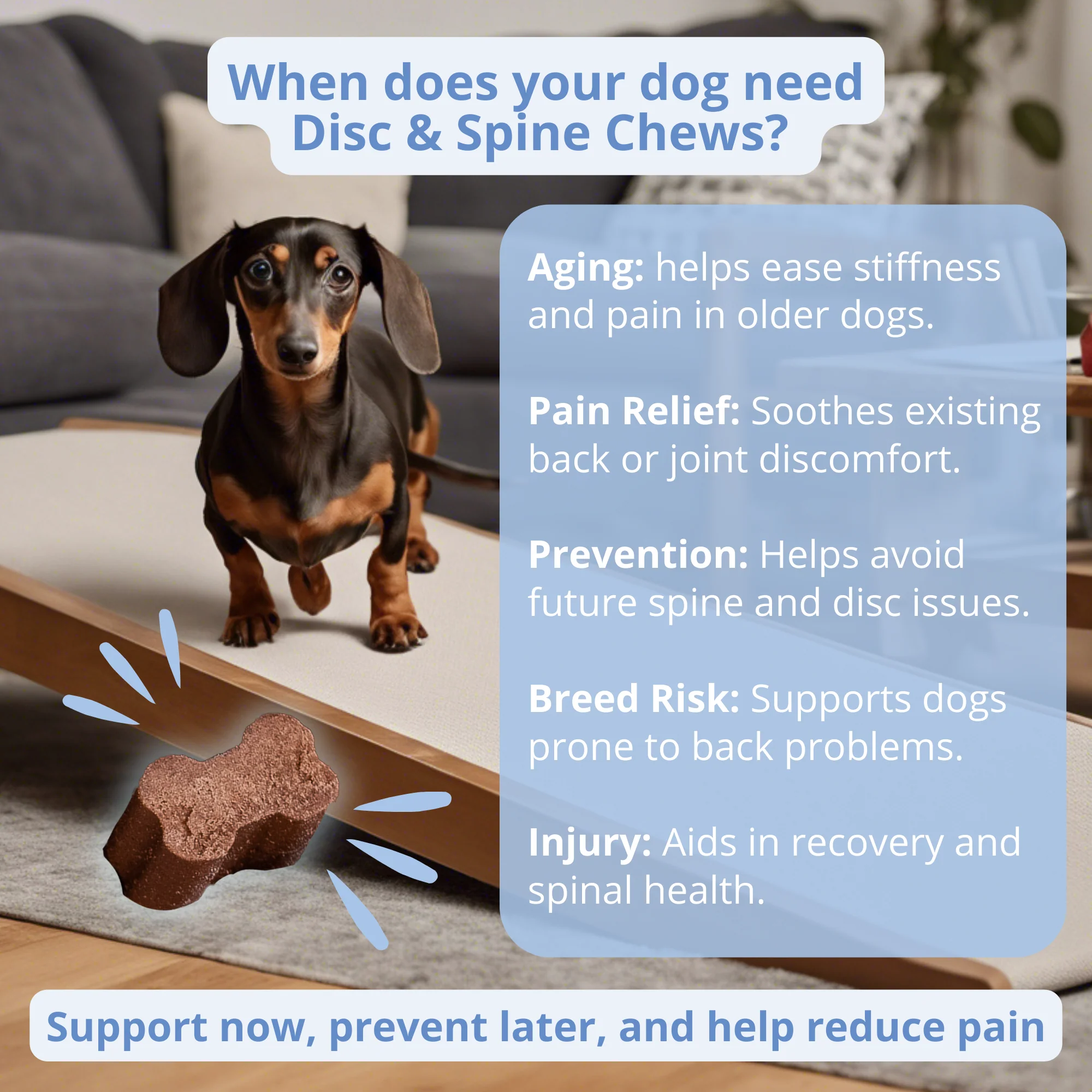 Disc and Spine Chews For Dogs - Image 5