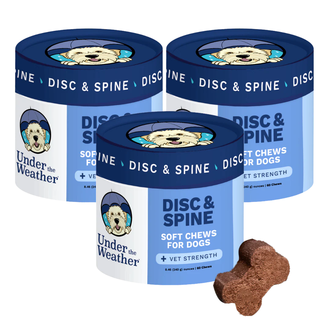 Disc and Spine Chews For Dogs - Image 9