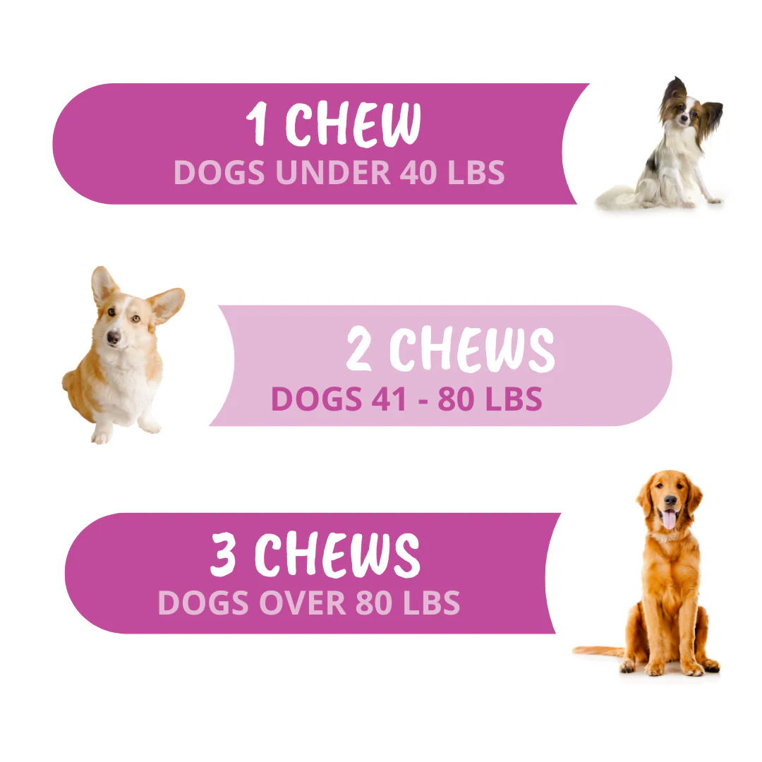 Joint Support Chewable Tablets For Dogs - Image 6