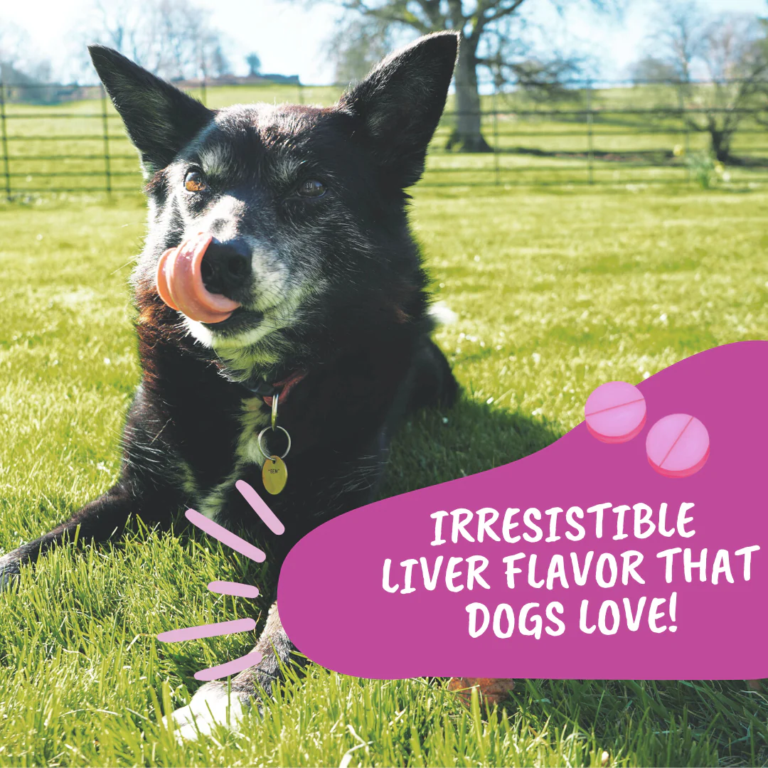 Joint Support Chewable Tablets For Dogs - Image 7