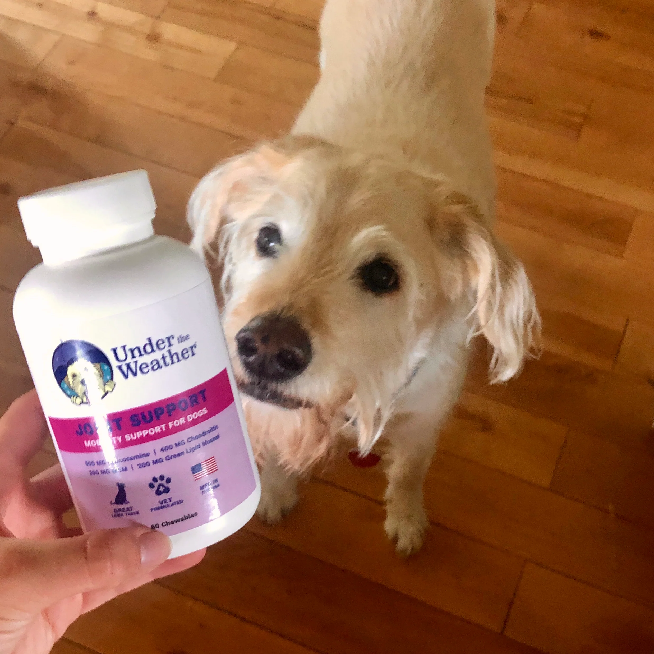 Joint Support Chewable Tablets For Dogs - Image 8