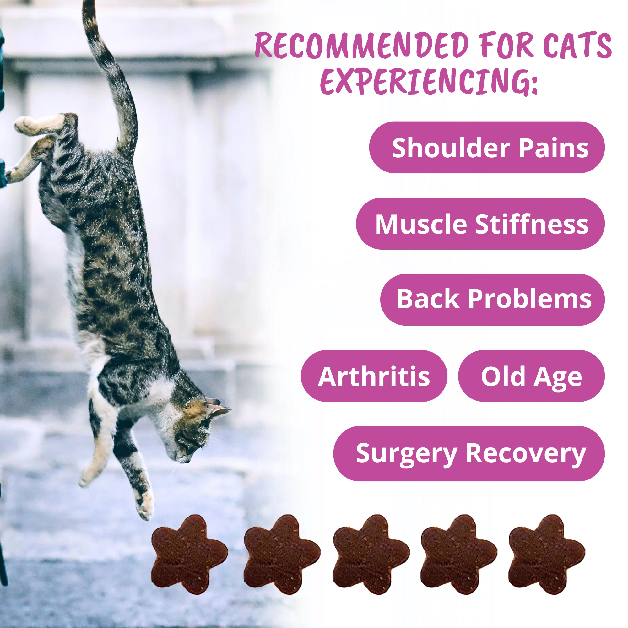 Mobility Soft Chews for Cats - Image 4