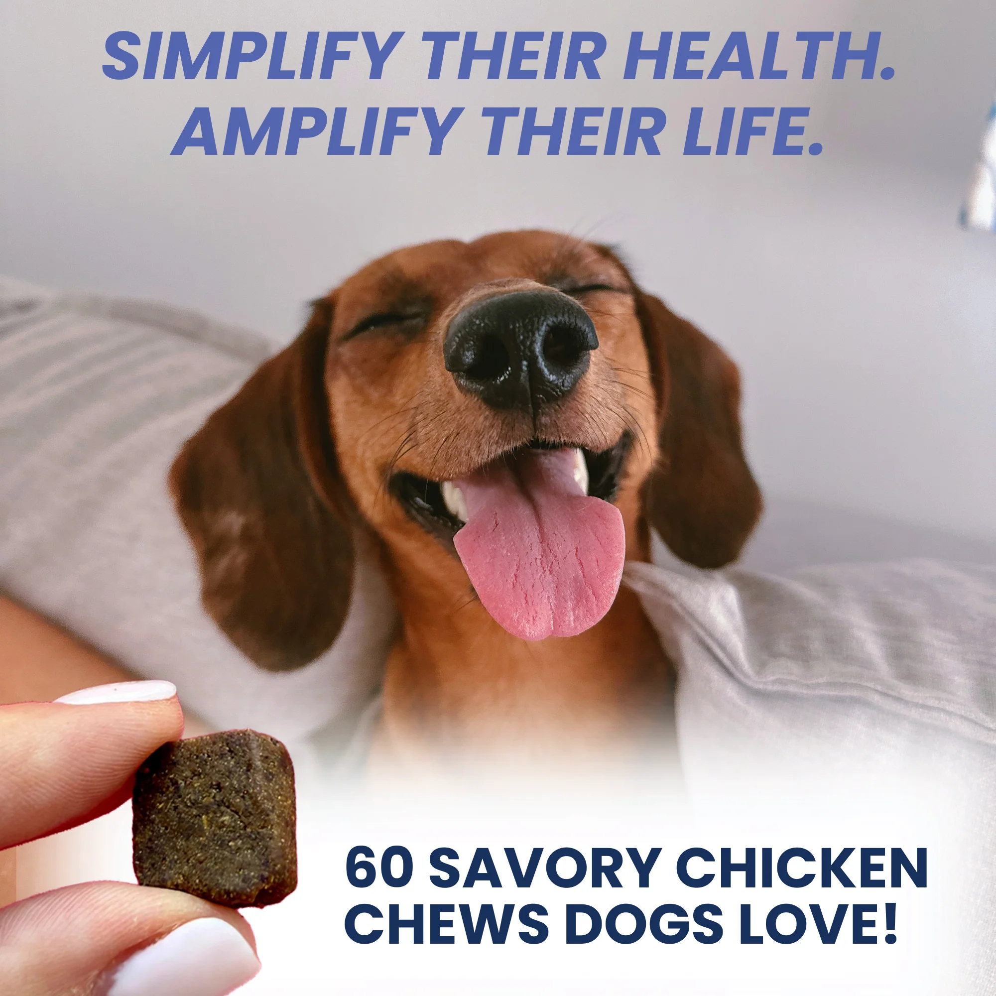 Multivitamin Daily Support for Dogs - Image 3
