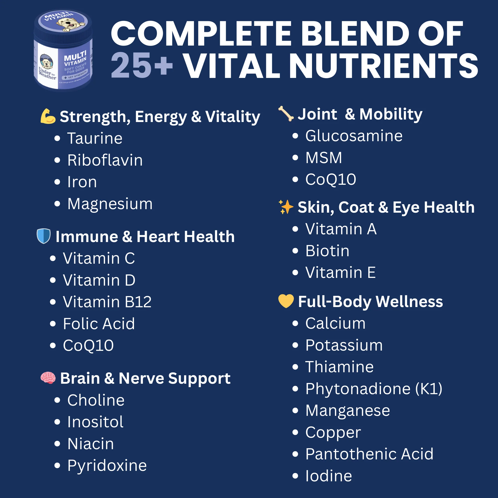 Multivitamin Daily Support for Dogs - Image 4