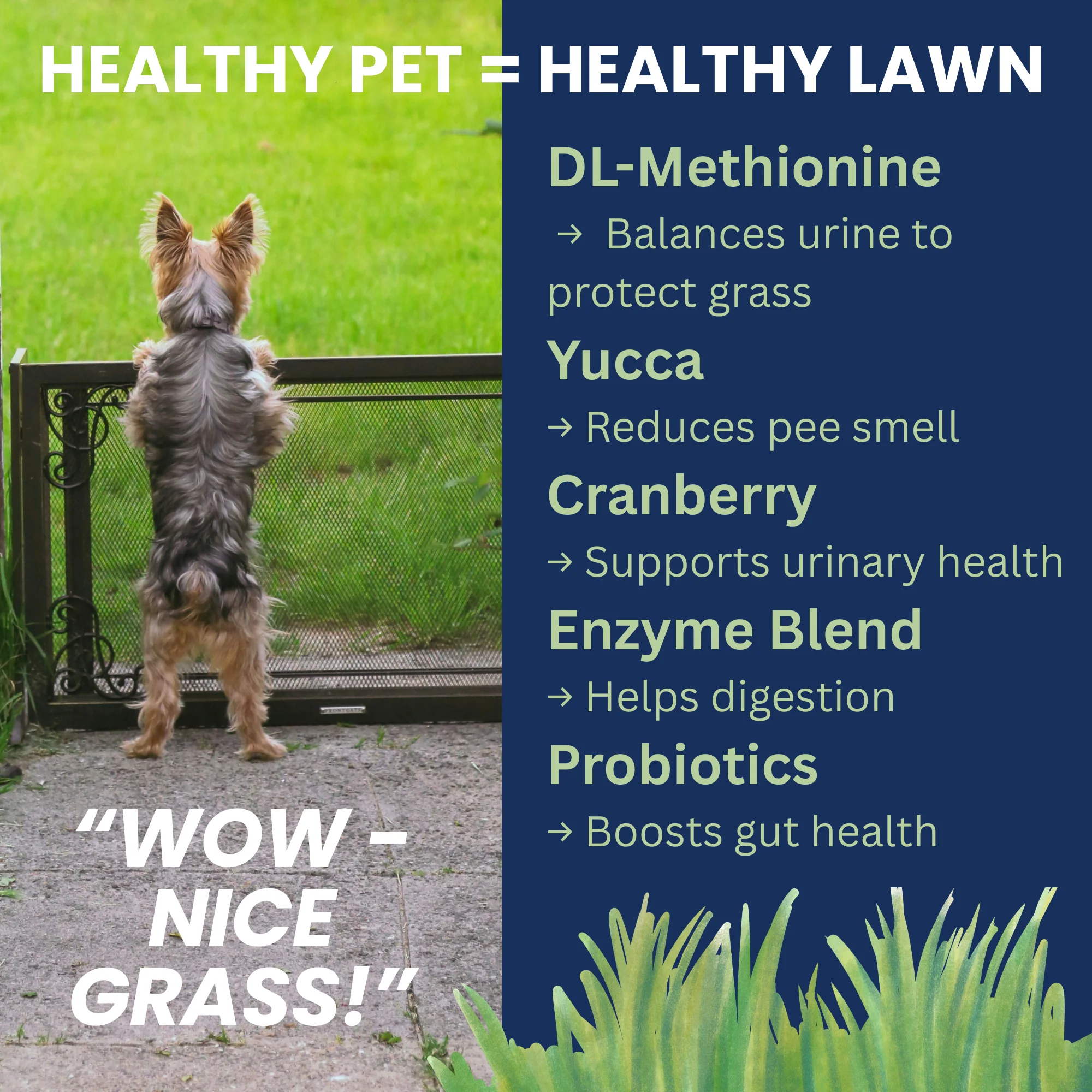 Nice Grass - Urine Neutralizer Chews For Dogs - Image 4
