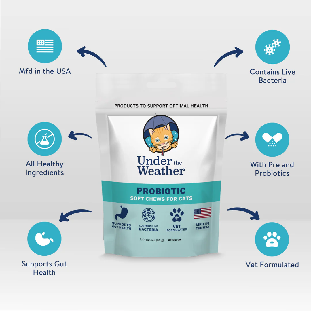 Probiotic Soft Chews For Cats - 6 Pack - Image 3