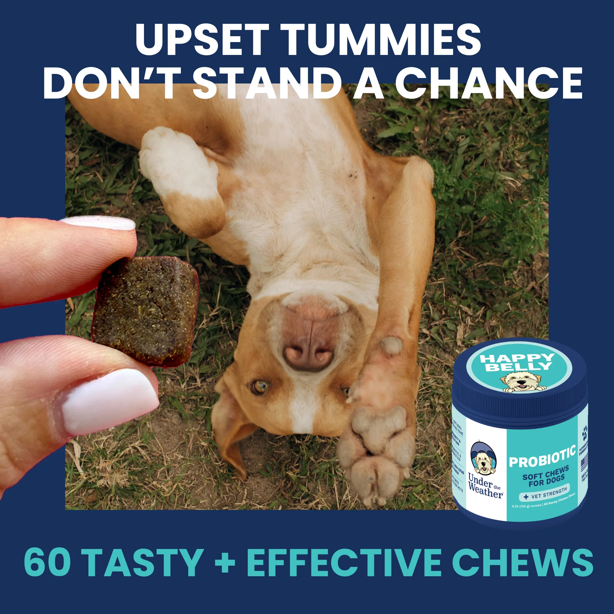 Probiotic Chews for Dogs - Image 4