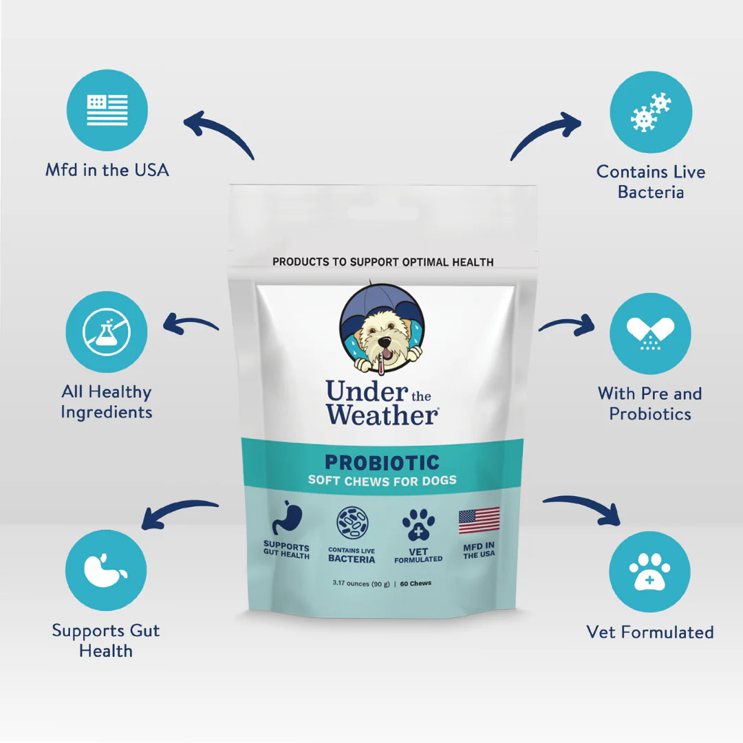 Probiotic Soft Chews & Anti-Diarrhea For Dogs - Image 4