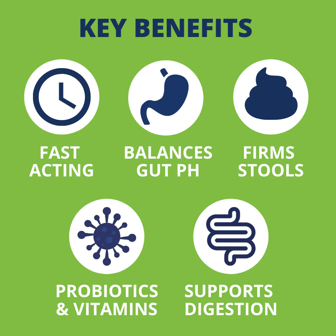 Ready Balance Probiotic Supplement For Dogs - Image 3