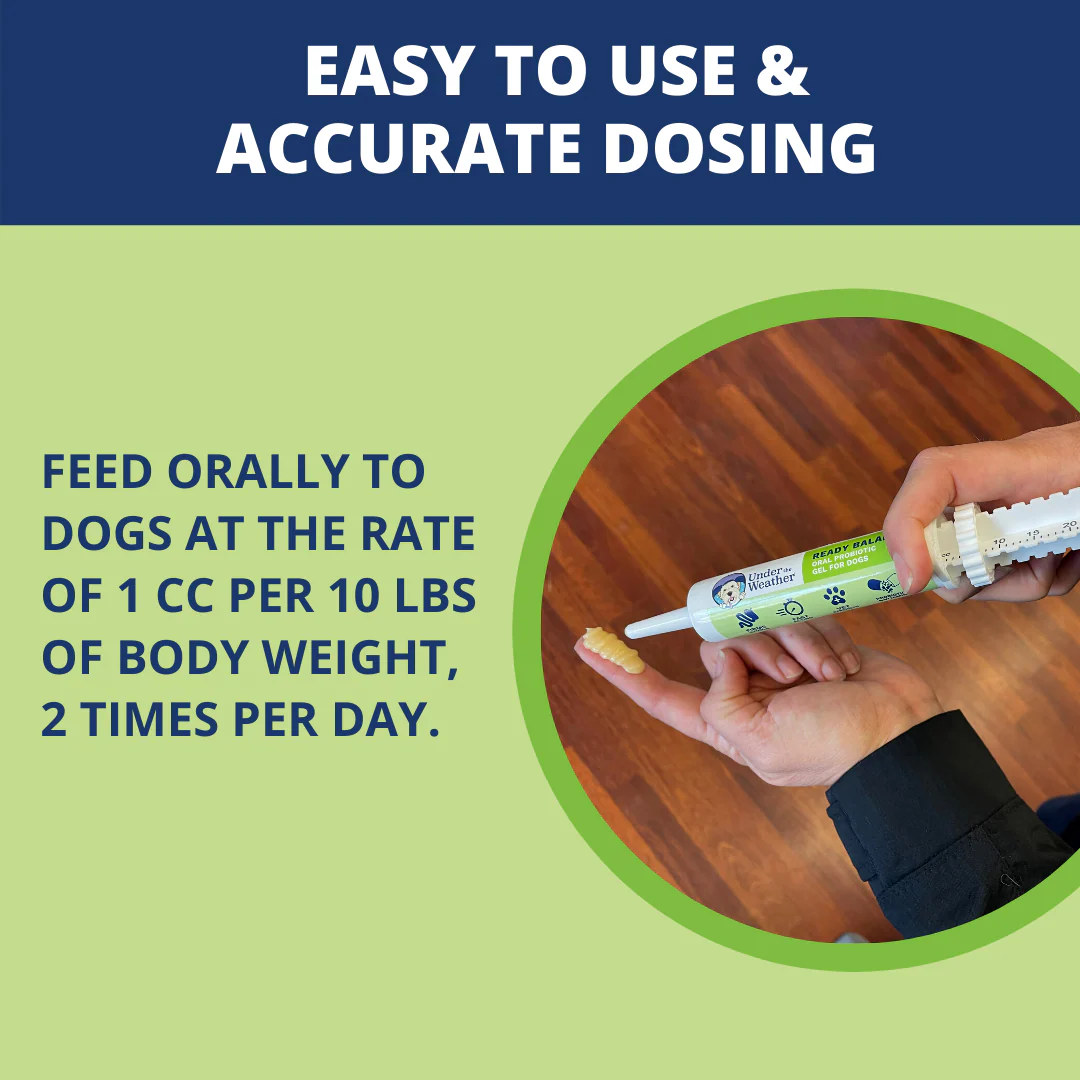 Ready Balance Probiotic Supplement For Dogs - Image 4