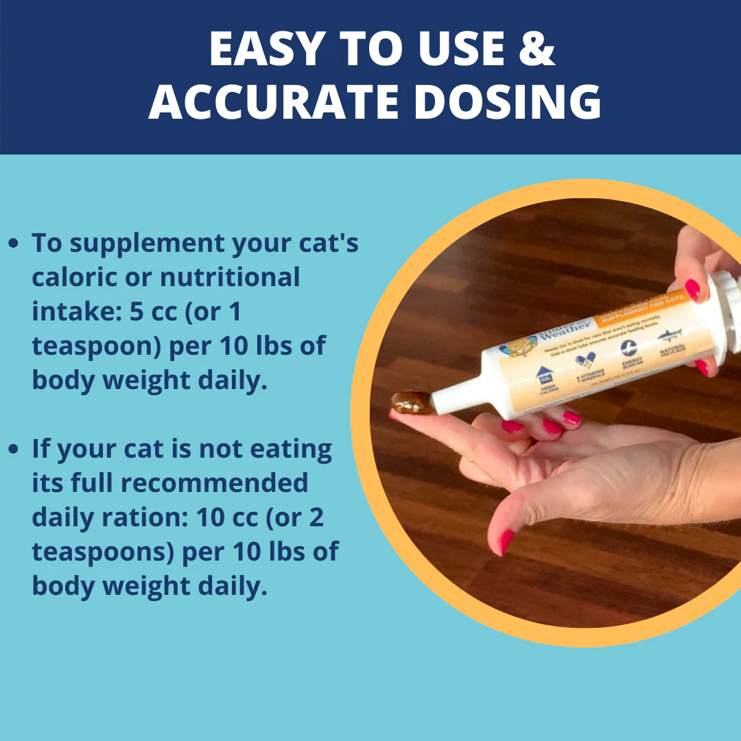 Ready Cal® High-Calorie Supplement For Cats - 100cc - Image 4